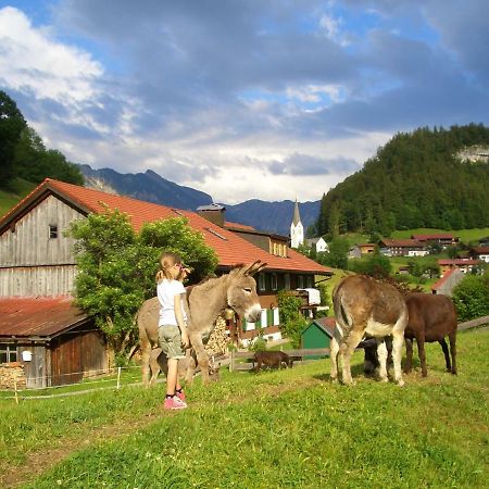 Appartement Haus Willi à Oberstdorf Extérieur photo